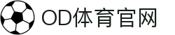OD全站APP下载-官方安全极速版APP中心-官方下载通道